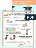 Infografia Amor y Abrigo