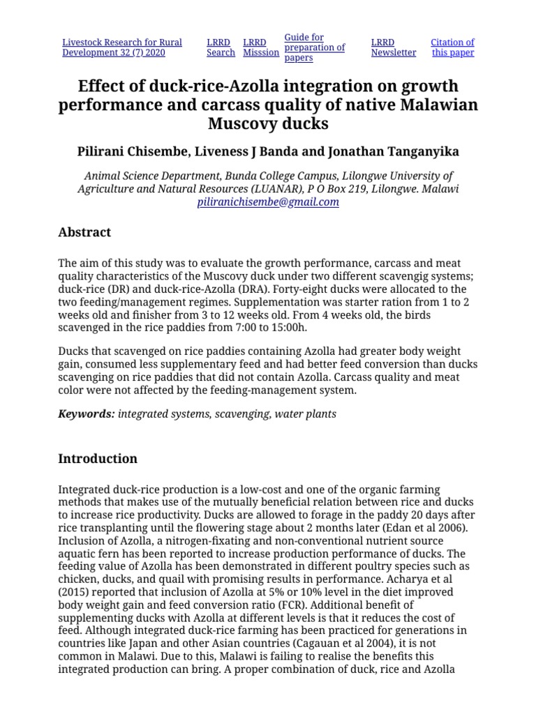 Duck-Rice-Azolla Integration Study | PDF | Avian Influenza | Agriculture