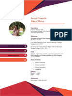 Curriculum - PDF Saira Báez