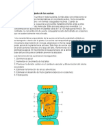 Auxinas, Giberelinas y Citoquininas