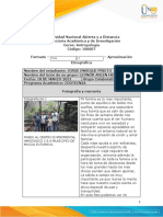 Formato - Tarea 4 - Aproximación Etnográfica