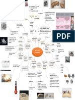 Mapa Mental - Metales de Aleación - Melissaxanat Carcaño Rodriguez