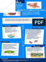 Partes de La Celula