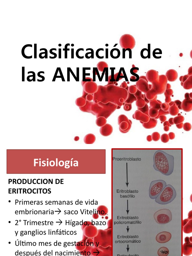 Clasificación de Anemias y Causas | PDF | Glóbulo rojo | Biología