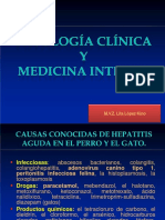 Fisiopatologia y Casos