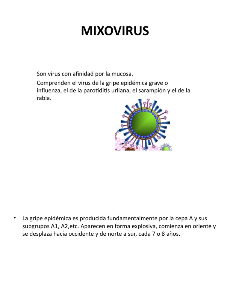 MIXOVIRUS | PDF | Influenza | El embarazo