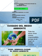 Cuidado Del Medio Ambiente