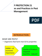 Crop Protection 21