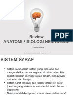 Review Saraf