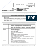 Perfil de Cargo Gestor de Proyectos