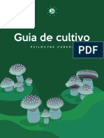 Guia de Cultivo de Cogumelos