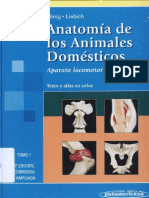 Anatom a de Los Animales Dom Sticos Tomo I Konig