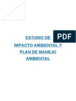 Estudio de Impacto Ambiental y Plan de Manejo Ambiental