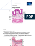 Digestive SystemLEC-1