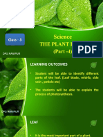 PART4Leaf Structure and Functions