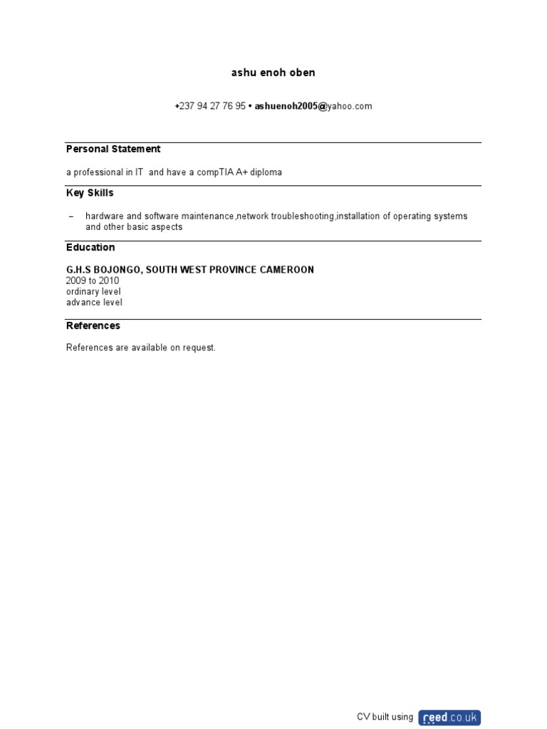 IT Professional CV with CompTIA A+ | PDF