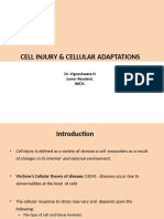 Cellular Injury and Adaptations