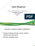 Sistem Respirasi 