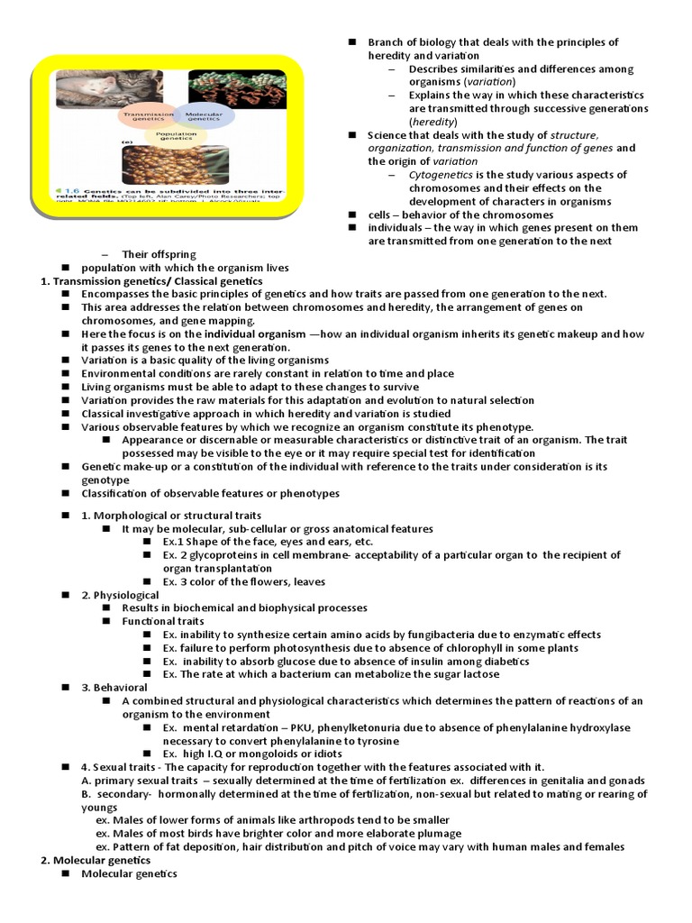 Transmission Classical PDF Evolution