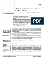 Enhanced Antibacterial Efficiency of Cellulosic Fibers: Microen-Capsulation and Green Grafting Strategies