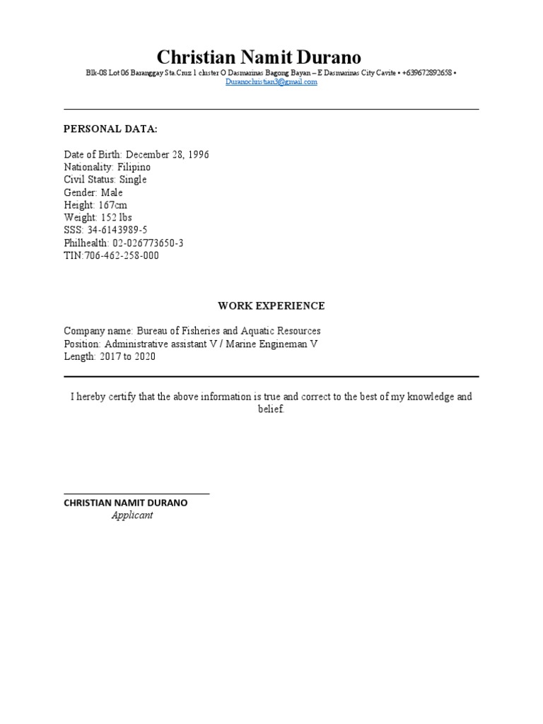 Updated CV | PDF