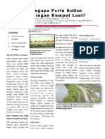 Newsletter Kultur Jaringan Januari 2