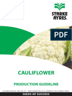 Cauliflower Production Guideline 2019