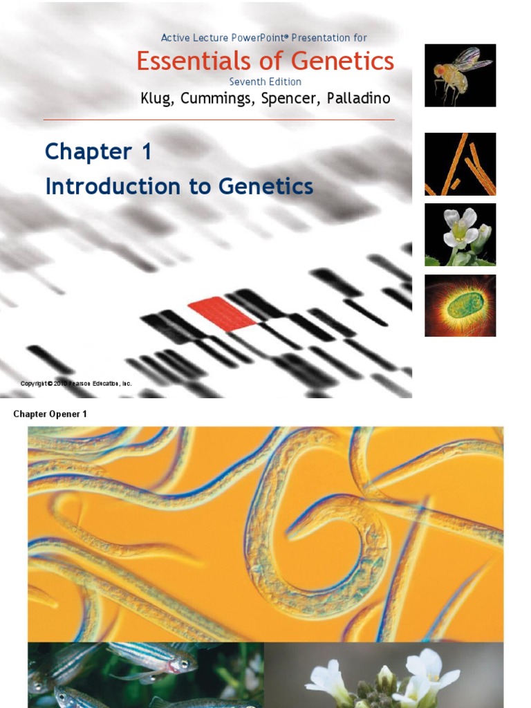Chapter 1 Genetics | PDF