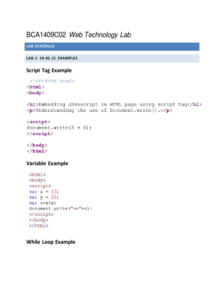 JavaScript Lab Exercises and Examples | PDF | Teaching Methods ...