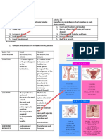 Puberty and reproductive system comparison