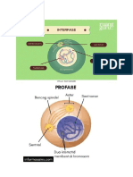 Gambar materi biologi