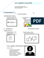  Procese cognitive senzoriale