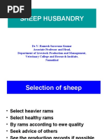 2011 Sheep Resource Handbook Update | PDF | Lamb And Mutton | Sheep