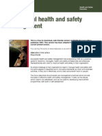 HSE HSG 065 Successful health and safety management 2nd Edition