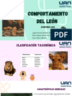 Comportamiento Del León