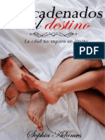 Encadenados Al Destino (Secretos y Amor #1) - Alexa R