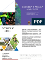 Mineria y Medio Ambiente