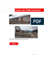 Plan de Trabajo CIAM Callalli 2021