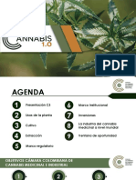 Taller Cannabis 1.0 - VPB