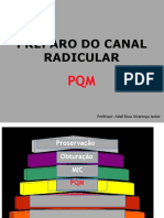 Preparo Do Canal Radicular