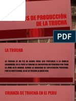 Analisis de Costos de Producion de Trucha en Peru