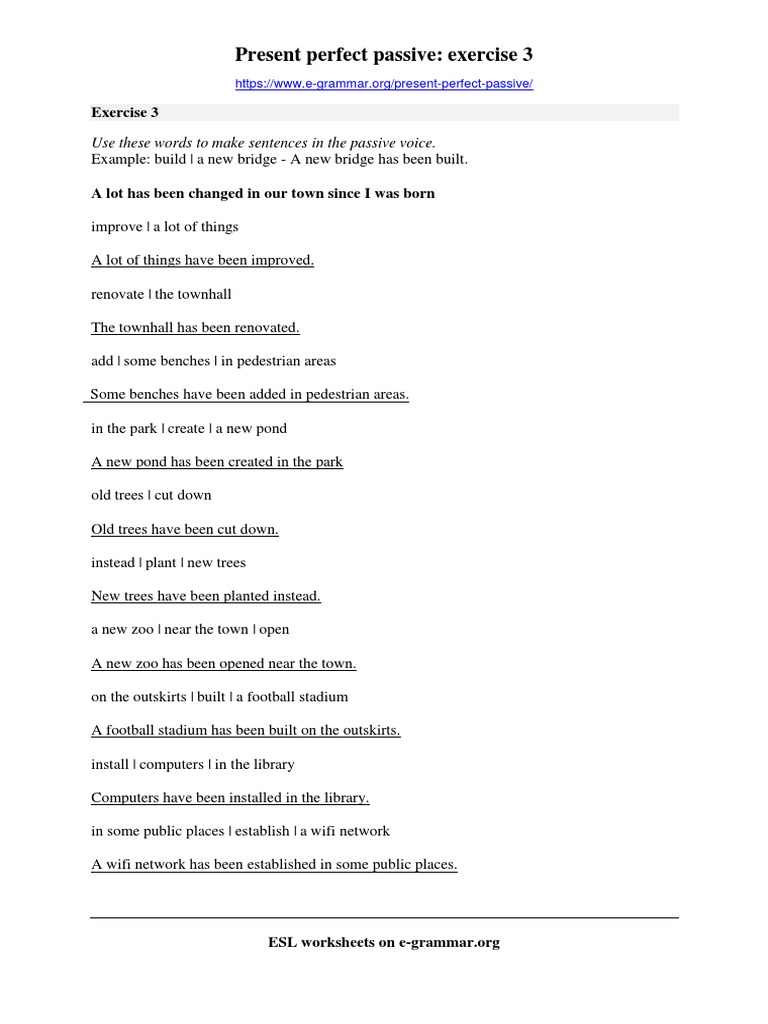 Present Perfect Passive Exercise 3 | PDF