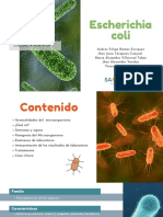 Escherichia Coli