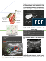 Resumo - Avaliação Radiológica Das Vias Biliares
