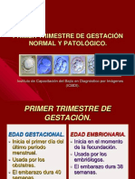 Primer Trimestre, Normal y Patológico