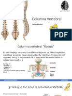 Generalidades de Columna Vertebral