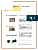 Tabla Informativa