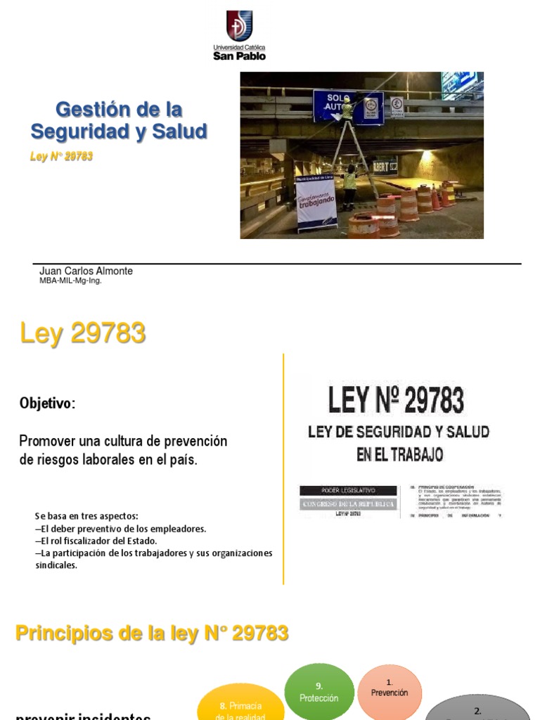 03 Ley 29783 | PDF | Seguridad y salud ocupacional | Planificación