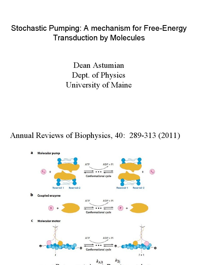 Stochastic Pumping: A Mechanism For Free-Energy Transduction by ...