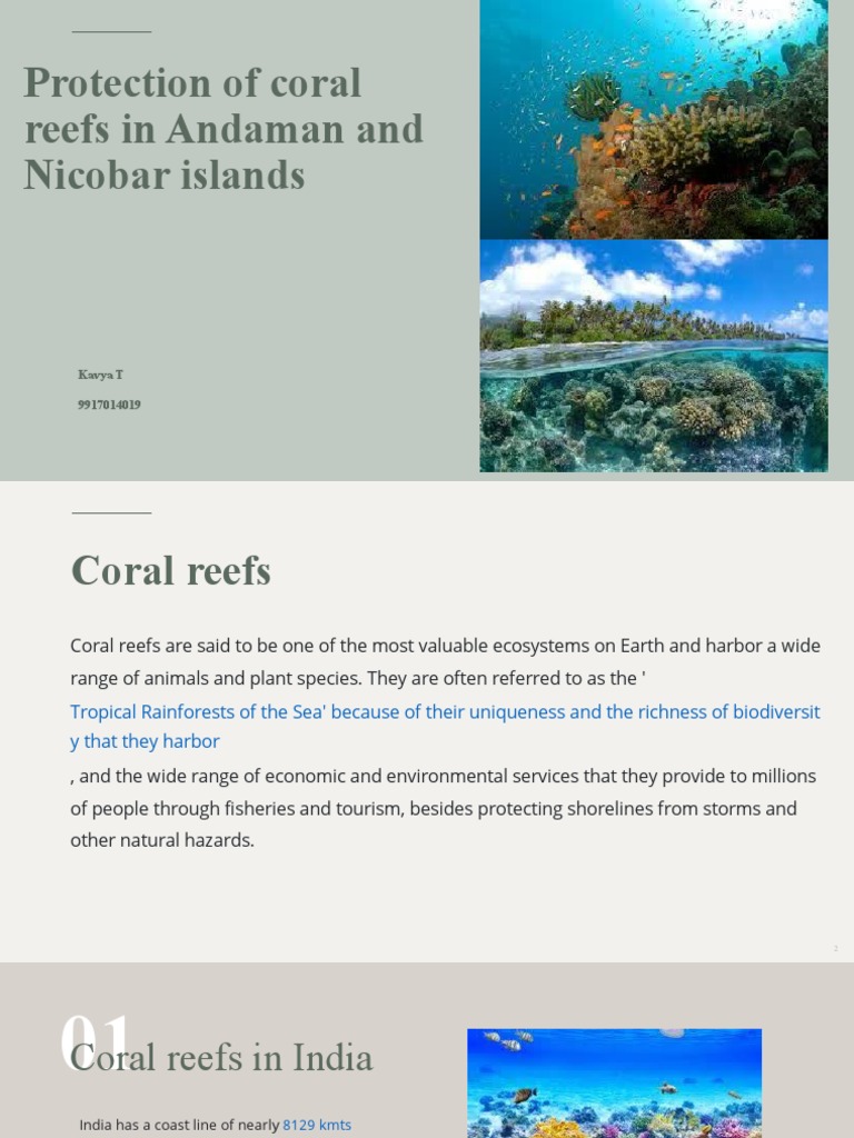 Coral Reef Protection in Andaman Islands | PDF | Coral Reef | Ocean ...